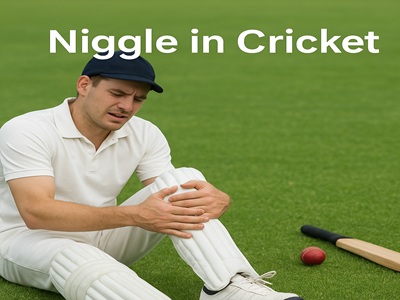 Niggle in Cricket